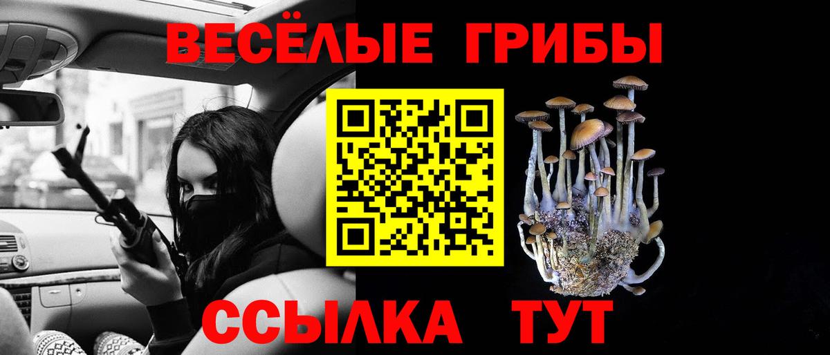 Псилоцибиновые грибы прущие грибы Краснознаменск