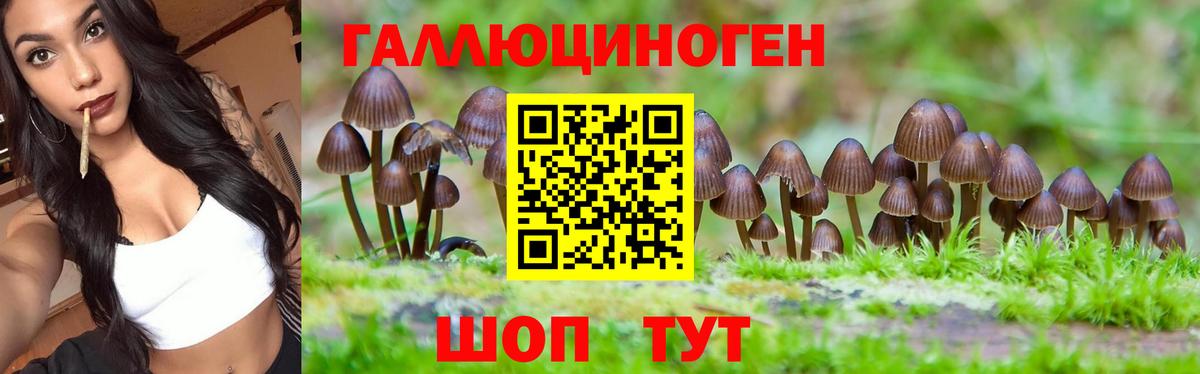 Краснознаменск  Псилоцибиновые грибы прущие грибы  Вход с VPN 